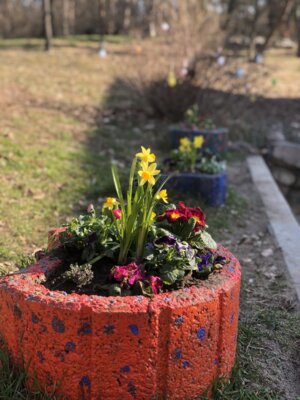 Meldung: Der Frühling ist eingezogen