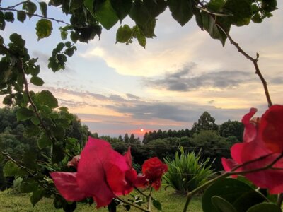 Sonnenaufgang in Süd Brasilien