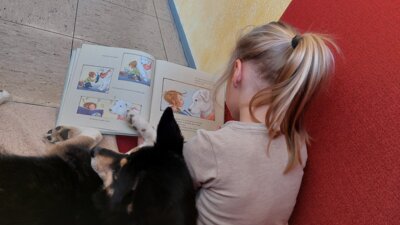 Foto zur Meldung: Hundestunde