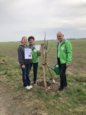 Foto zur Meldung: Aktion 1.000 Obstbäume - Sachsen pflanzt gemeinsam