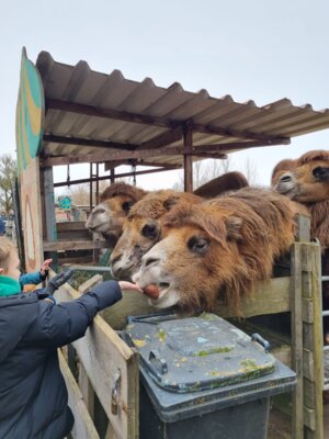 Meldung: Besuch auf dem Reichelshof