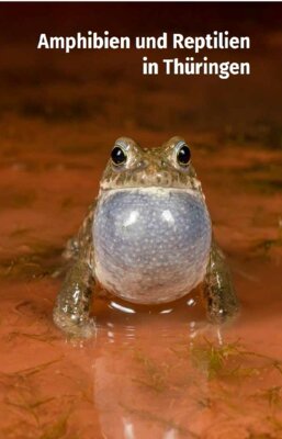 Naturschutzreport "Amphibien und Reptilien in Thüringen" erschienen