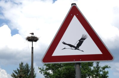 Der Schmiede-Storch, er heißt so, weil das Storchennest an der alten Schmiede steht, galt 2024 als "Problemstorch", weil er auf Autofahrer losgegangen sein soll. Mit einem Warnschild wurde darauf aufmerksam gemacht.