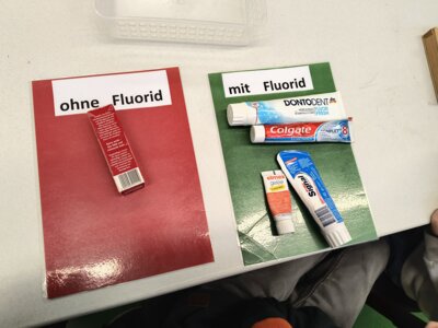 Meldung: Zahnprophylaxe-Unterricht