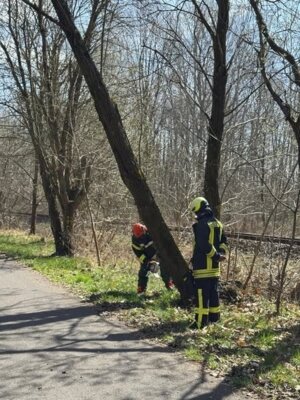 Foto zur Meldung: Einsatzbericht 15/2025 - 05.04.2025, H1 THL Klein 