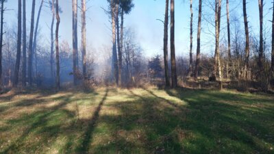 Einsatzreicher März für die Feuerwehren des Amtes