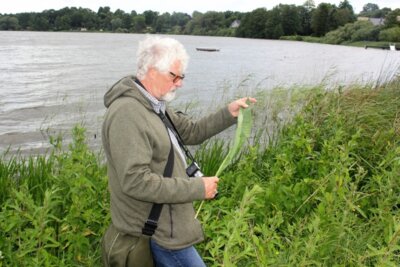 Foto zur Meldung: Unbedingt vormerken: Am 24. Mai Naturwanderung am Schmalensee