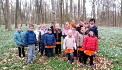 3 Medaillen beim Kreiscrosslauf in Pritzwalk