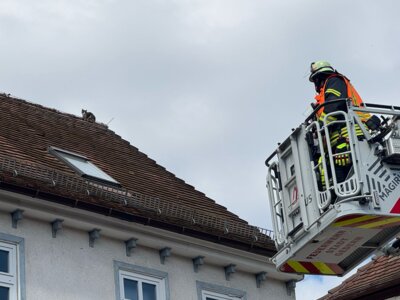 🚨🚨Einsatzinfo🚨🚨 (Bild vergrößern)