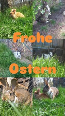 Ostergrüße aus der Fleischerei Glaseow (Bild vergr&ouml;&szlig;ern)