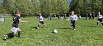 Spielszene aus dem G-Jugendturnier in Zittau, Sa., 26.04.2025, Westparkstadion (Bild vergrößern)