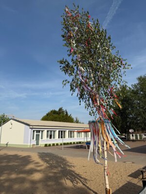 Maibaum