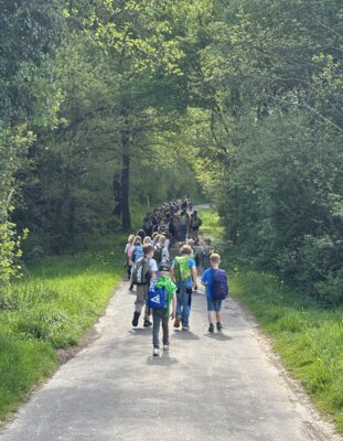 Meldung: Maiwanderung in den Wald