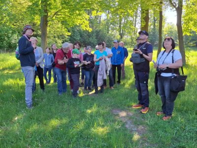 Vogelstimmenwanderung im Triestewitzer Park