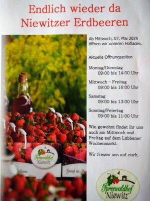 Endlich wieder da