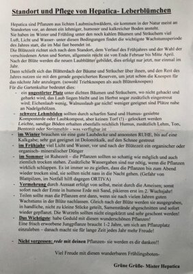 Leberblümchen & Co: Ausflug zu Mr. Hepatica geplant (nicht öffentlich)