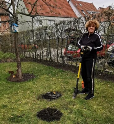 Schatzmeisterin Elvira Valerius, hier beim Pflanzen der Rose "Friedenslicht" in ihrem eigenen Garten. Foto: Roland Preibisch