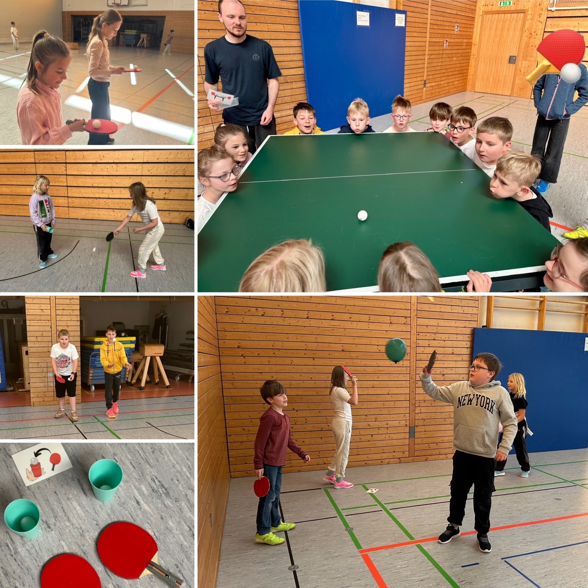 Grund Und Mittelschule Altenburgblick Schnupperstunde Tischtennis grund-und-mittelschule-altenburgblick-schnupperstunde-tischtennis