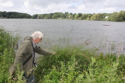Dierk Hamann erklärt die Natur am Schmalensee