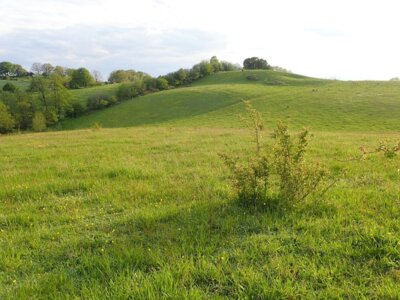 Foto zur Meldung: Naturpark am 24. Mai: Bungsberg-Wanderung