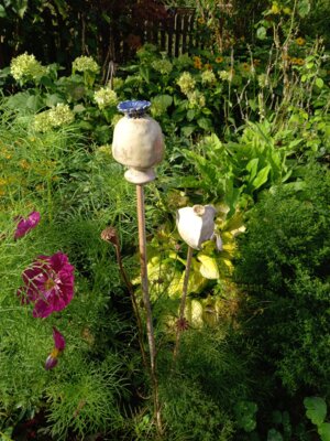 Besuch geplant: Staudengarten im Spandauer Eiskeller (nicht öffentlich)