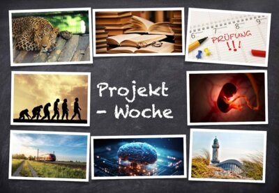 Projektwoche