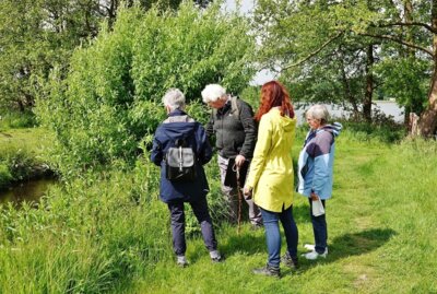 Foto zur Meldung: Wanderung am Schmalensee war wieder ein Augenöffner