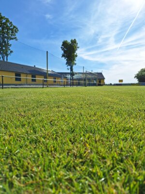 Foto zur Meldung: Fußball: Ergebnisdienst vom Wochenende