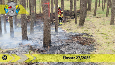 Meldung: Einsatz 27/2025 | 700m² Waldbodenbrand | Alt Stahnsdorf (LOS) Abt. 6331