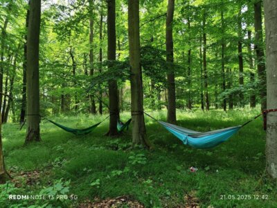 Waldbaden - Natur pur, die Seele baumeln lassen!