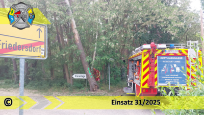 Einsatz 31/2025 | Baum droht zu stürzen | Friedersdorf Wilhelmstraße