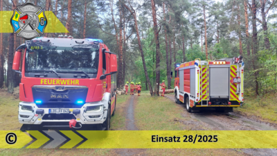 Meldung: Einsatz 28/2025 | Baum auf Straße | Gussow Prieroser Straße