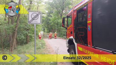 Einsatz 32/2025 | Baum auf Straße | Blossin Waldweg