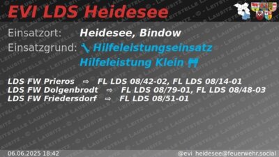 Einsatz 33/2025 | Baum in Wasserstraße | Bindow Dahme