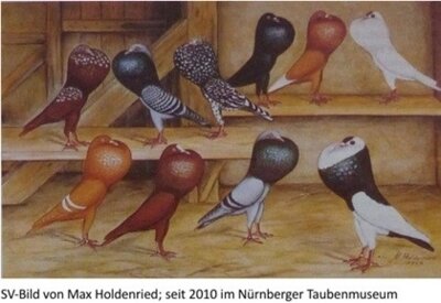 BDRG-Siegerring auf Stellerkröpfer 2025 in Leipzig