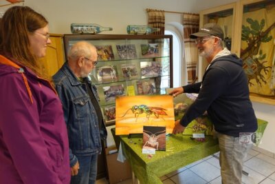 Faszinierende Fotos gab es in der Ausstellung "Ostfriesland ganz nah" zu sehen.