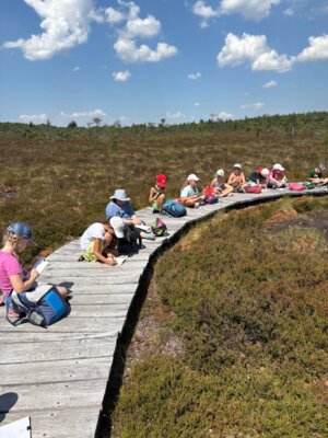 "Moor & more" - Die dritten Klassen unterwegs im Hochmoor