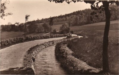 Meldung: Wie Wasser die Ortsentwicklung Bad Schlemas maßgeblich beeinflusste
