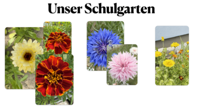 Unser Schulgarten