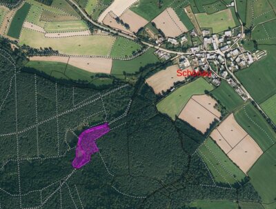 Foto zur Meldung: Verkauf eines Waldgrundstücks (Fl.Nr. 1155 der Gemarkung Uckersdorf mit ca. 10.000 m²) bei Schönau