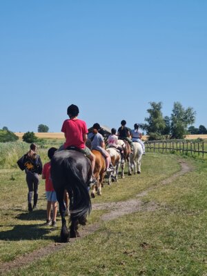Im Mittelpunkt der Klassenfahrt stand das Reiten. Bei bestem Wetter und mit ganz lieben Tieren war der Ausritt das Highlight der Klassenfahrt.