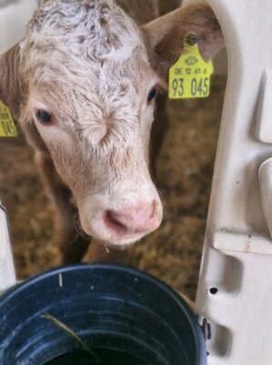 Foto zu Meldung: Projektwoche Agriskills 2025