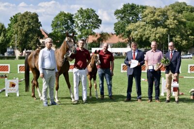 Foto zur Meldung: Va Bene-Sohn siegt beim DSP Fohlenchampionat in Neustadt (Dosse)
