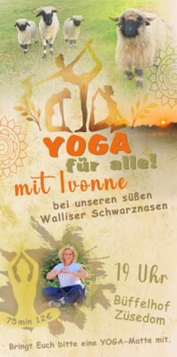Yoga bei den Walliser Schwarznasen