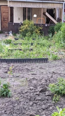 Garten im KGV "Schacht" in Rudolstadt - Nähe Saalgärten zu verpachten (Bild vergr&ouml;&szlig;ern)