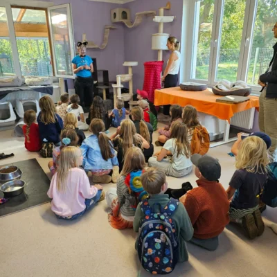 Benjamin Schule zu Besuch im Katzenhaus Neukalen (Bild vergr&ouml;&szlig;ern)