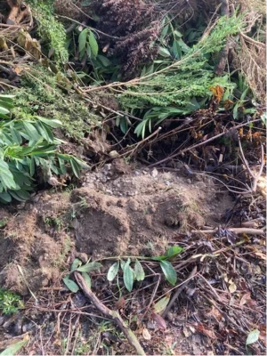 Müll und sonstige Art von Unrat gehören nicht auf den Ablageplatz für Baum- und Strauchabschnitte