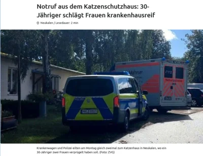 Notruf aus dem Katzenschutzhaus: 30-Jähriger schlägt Frauen krankenhausreif (Bild vergr&ouml;&szlig;ern)