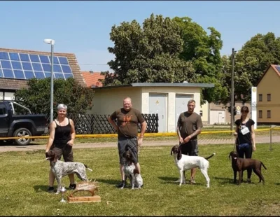 Schönster Hund der Zuchtschau (Bild vergr&ouml;&szlig;ern)