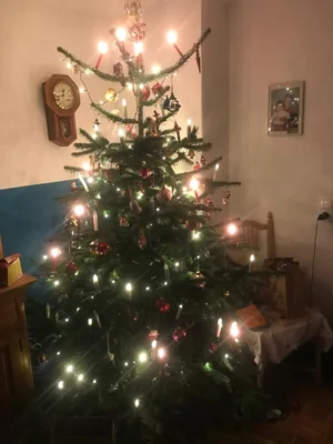 Geschmückter Weihnachtsbaum (Bild vergr&ouml;&szlig;ern)